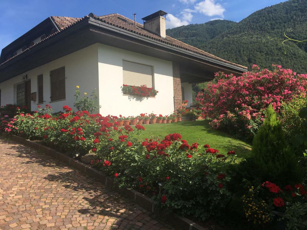 Villa Weingut Zundlhof Bozen Exterior foto
